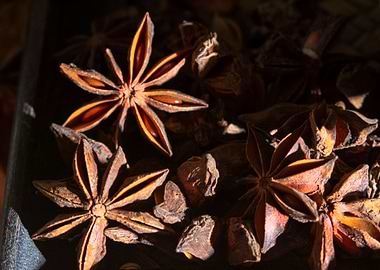 star anise