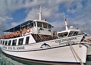 Golondrina Peniscola