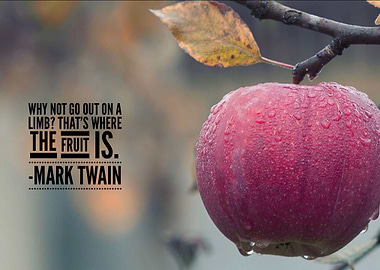 Why not go out on a limb