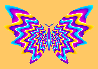 Colorful butterfly