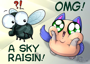 SKY RAISIN