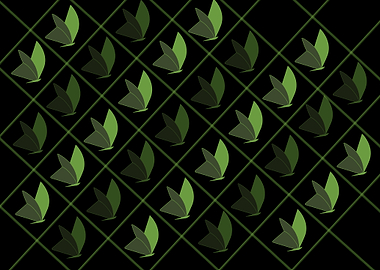 Butterfly Grid