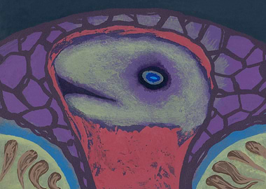 The most fabulous turtle