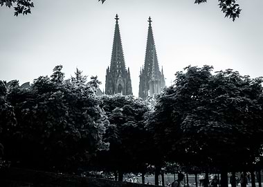 Cologne