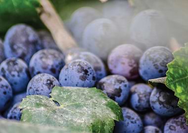 Concentrated sunbeams