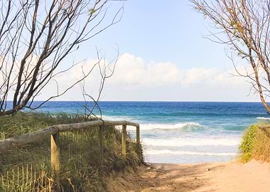 Beach path