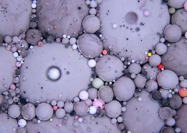 Bubbles Art Blackcurrant