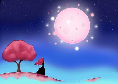 Universal contemplation