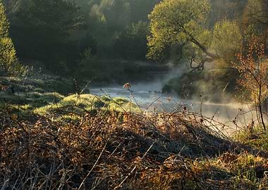 Morning on the river