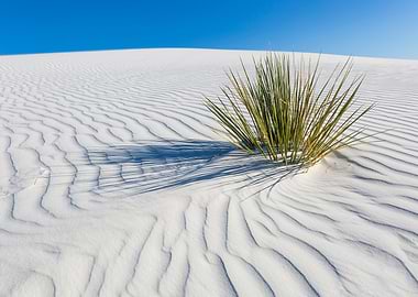 Wave pattern of dunes