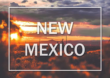 new mexico
