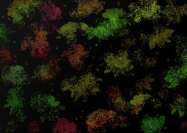 Abstract Leaf Pattern