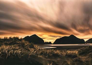 Bethells Beach landscape