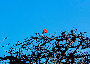 The Last Day of Summer