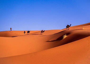 Moroccan Sahara