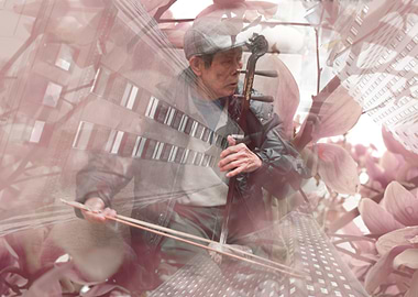 chinese musician in NYC