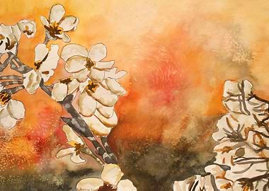 Cherry Blossum Flowers