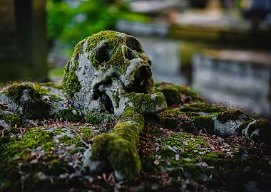 The dead is everywhere