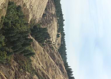 Easter washington valley