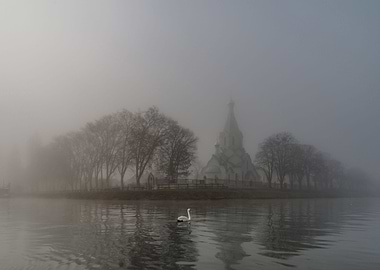 Swan and church