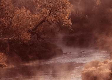 Misty morning on the river