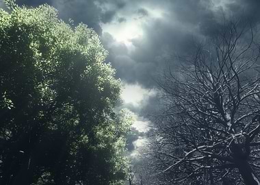 Border of life and death