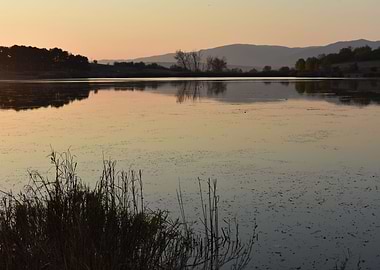 reflection in lake water