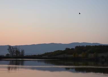 reflection in lake water