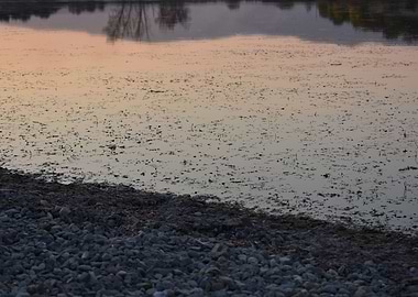 reflection in lake water