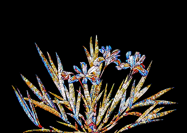 Stained Glass Iris Flower