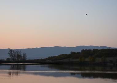 reflection in lake water