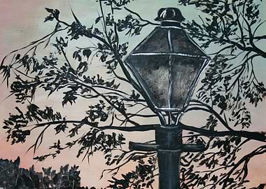 Urban Sunset Street Light