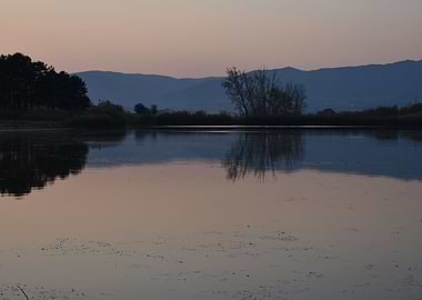 reflection in lake water