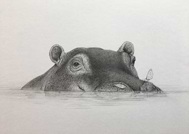 Serengeti submerged hippo