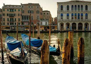 Venice