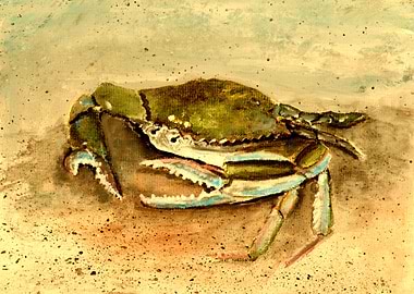 Crab Beach Art