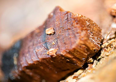 Cutted Wood Abstract