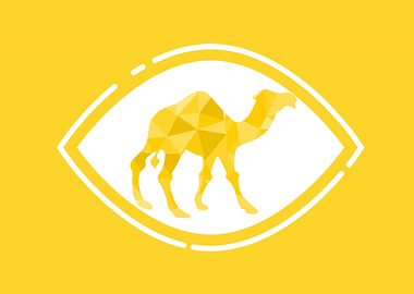 The Ship of The Desert