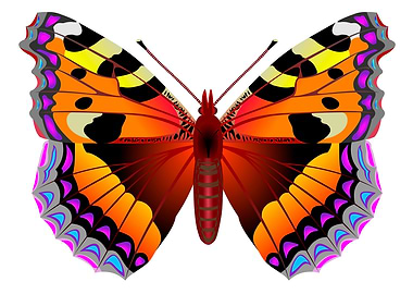 Color butterfly