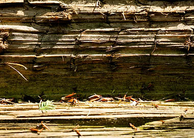 Wooden macro trippy prints