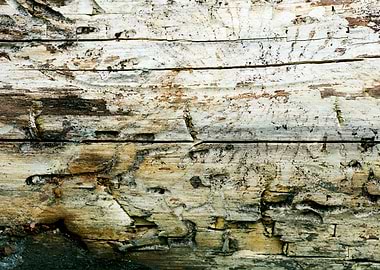 Wooden macro trippy prints