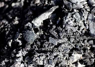 Burned Wood Abstract Print