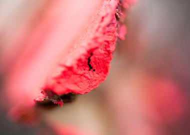 Wood macro trippy abstract