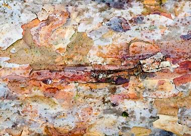 Wood macro trippy abstract