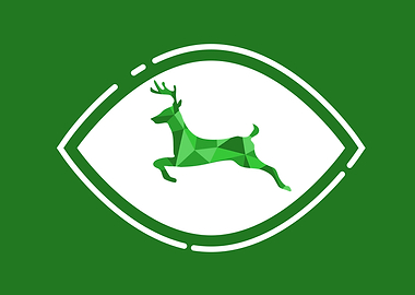 The Delicate Daring Deer