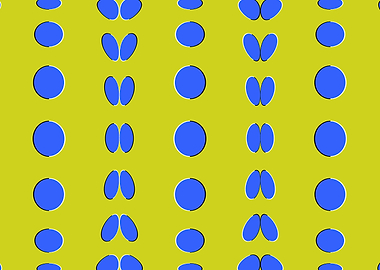 Illusions fine art design