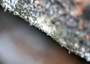 Wood macro trippy abstract