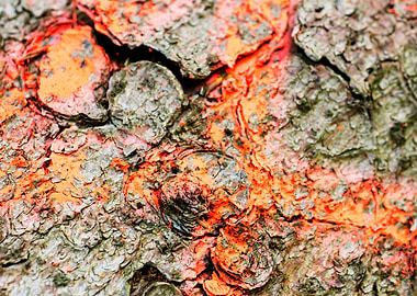 Wooden macro trippy prints