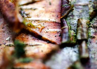 Wood macro trippy abstract