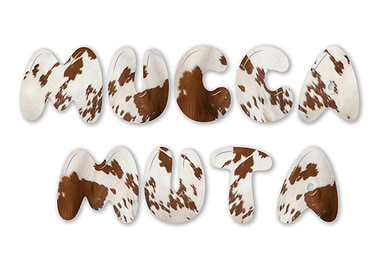 Mucca Muta ital4 StupidCow